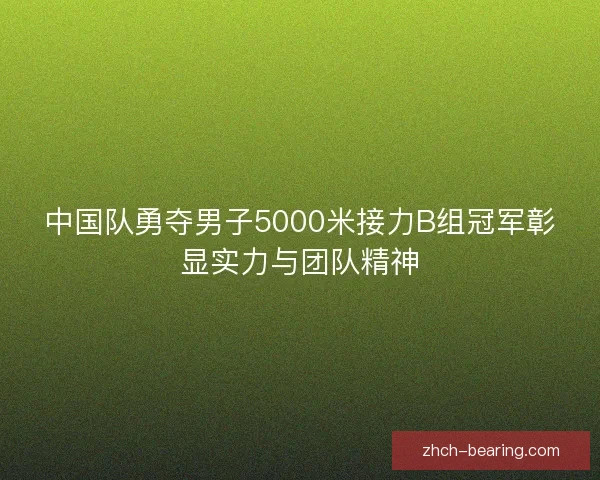 中国队勇夺男子5000米接力B组冠军彰显实力与团队精神